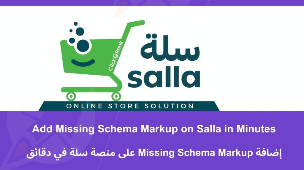 Add Missing Schema Markup on Salla in Minutes