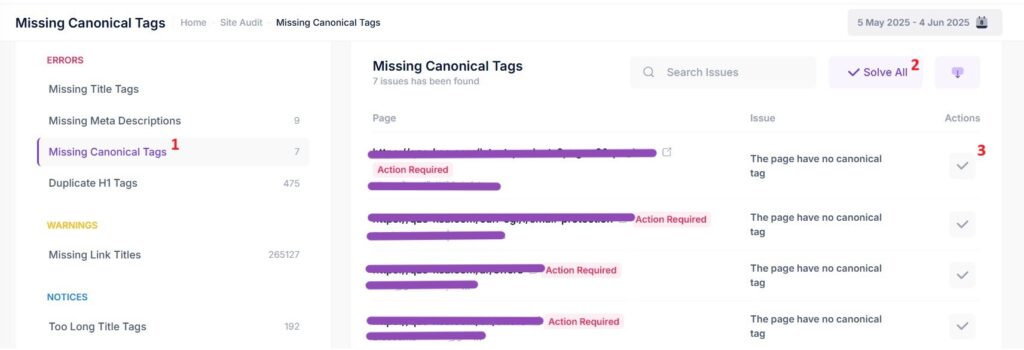 Missing Canonical Pages in Salla platform