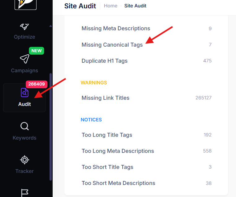 Review Affected Missing Canonical Pages